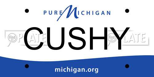 CUSHY Michigan License Plate