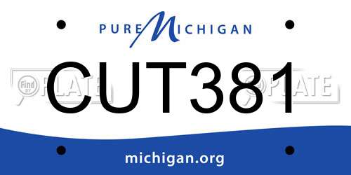 CUT381 Michigan License Plate