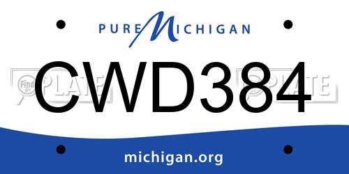CWD384 Michigan License Plate