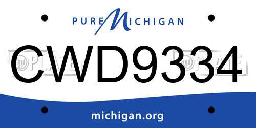 CWD9334 Michigan License Plate