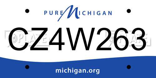 CZ4W263 Michigan License Plate