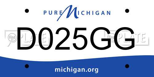 D025GG Michigan License Plate