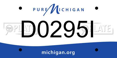 D0295I Michigan License Plate