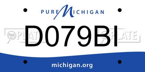 D079BI Michigan License Plate