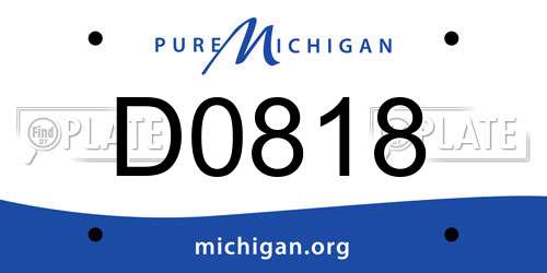 D0818 Michigan License Plate