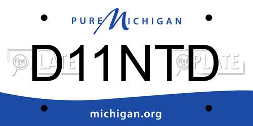D11NTD Michigan License Plate