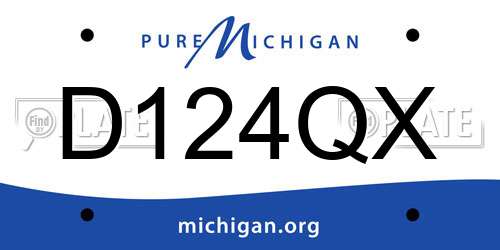 D124QX Michigan License Plate
