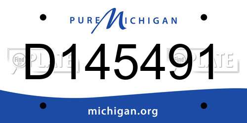 D145491 Michigan License Plate