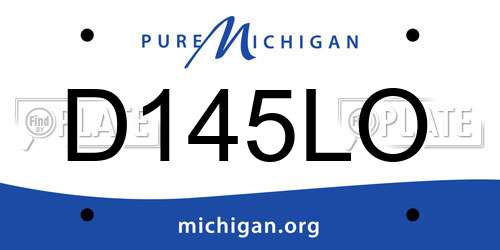 D145LO Michigan License Plate