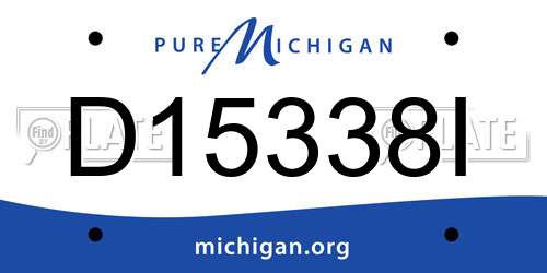 D15338I Michigan License Plate