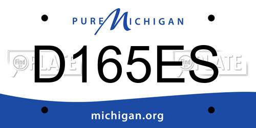 D165ES Michigan License Plate