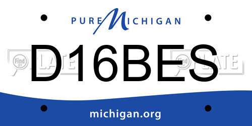 D16BES Michigan License Plate