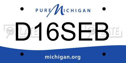 D16SEB Michigan License Plate