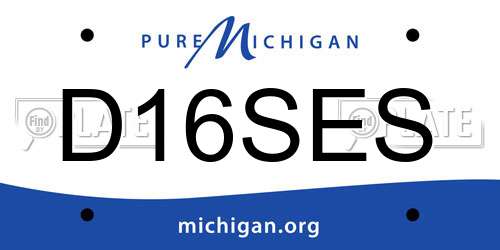 D16SES Michigan License Plate
