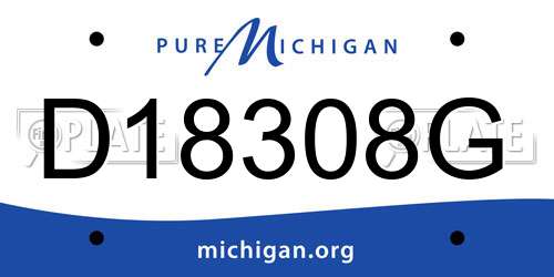 D18308G Michigan License Plate