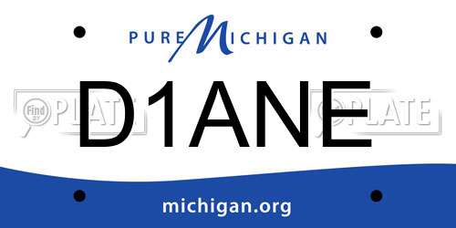 D1ANE Michigan License Plate
