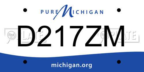 D217ZM Michigan License Plate
