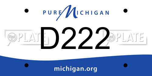 D222 Michigan License Plate