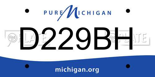 D229BH Michigan License Plate