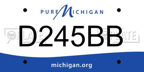 D245BB Michigan License Plate