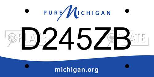 D245ZB Michigan License Plate