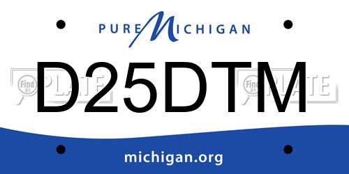 D25DTM Michigan License Plate