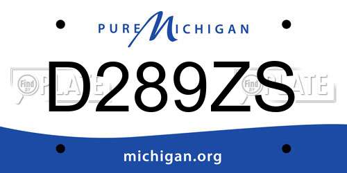 D289ZS Michigan License Plate
