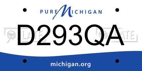 D293QA Michigan License Plate