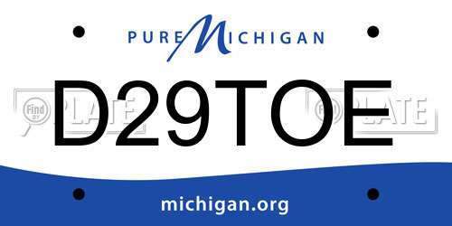 D29TOE Michigan License Plate