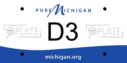 D3 Michigan License Plate