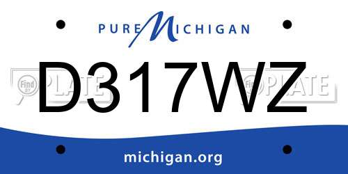 D317WZ Michigan License Plate