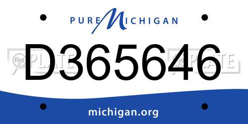 D365646 Michigan License Plate