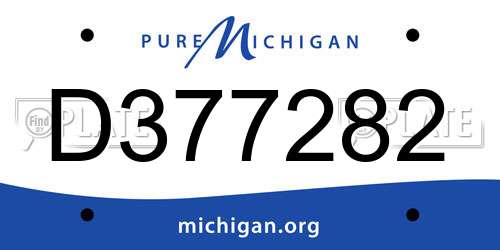 D377282 Michigan License Plate