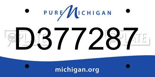 D377287 Michigan License Plate