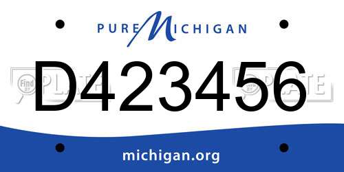 D423456 Michigan License Plate