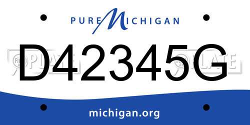 D42345G Michigan License Plate