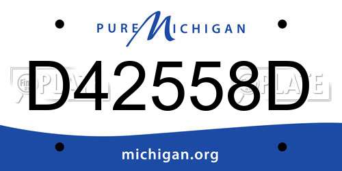 D42558D Michigan License Plate