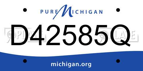 D42585Q Michigan License Plate