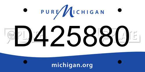 D425880 Michigan License Plate