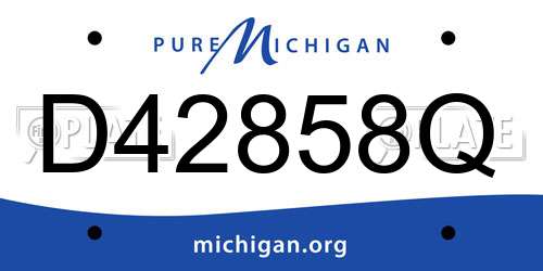 D42858Q Michigan License Plate