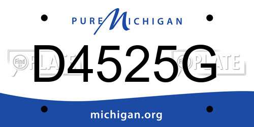 D4525G Michigan License Plate