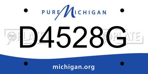 D4528G Michigan License Plate