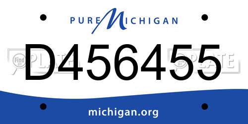 D456455 Michigan License Plate