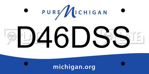 D46DSS Michigan License Plate