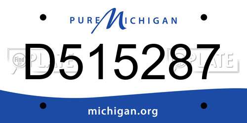 D515287 Michigan License Plate