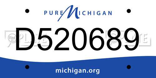 D520689 Michigan License Plate