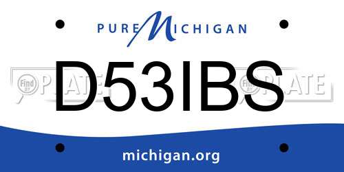 D53IBS Michigan License Plate