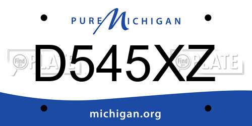 D545XZ Michigan License Plate
