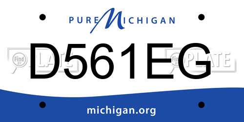 D561EG Michigan License Plate