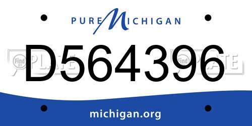 D564396 Michigan License Plate